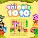 1010動物