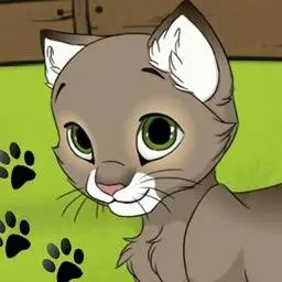 這是一張小貓製作器的遊戲內容圖片