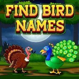 這是一張查找鳥類名稱的遊戲內容圖片