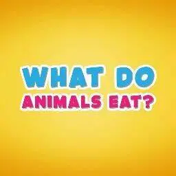 這是一張動物吃什麼的遊戲內容圖片