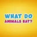 這是一張動物吃什麼的遊戲內容圖片