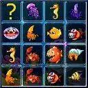海洋生物卡片比賽