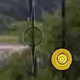 這是一張森林箭技的遊戲內容圖片