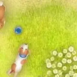這是一張小狗取珠的遊戲內容圖片