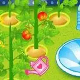 這是一張番茄工廠的遊戲內容圖片