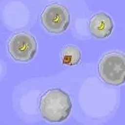 這是一張猴子島的遊戲內容圖片