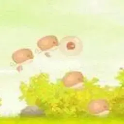 這是一張小雞仲夏游的遊戲內容圖片