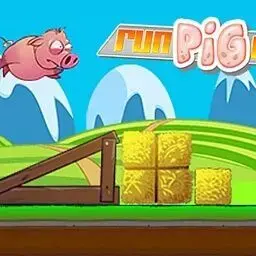 豬豬快跑