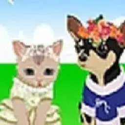 這是一張貓狗結婚換裝的遊戲內容圖片