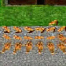 這是一張城池戰役2的遊戲內容圖片