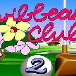 這是一張打高爾夫球2的遊戲內容圖片