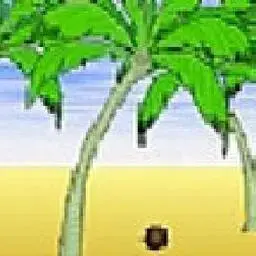 這是一張海灘打椰子的遊戲內容圖片
