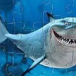 這是一張大鯊魚拼圖的遊戲內容圖片