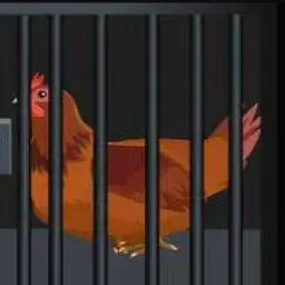 這是一張母雞救援的遊戲內容圖片